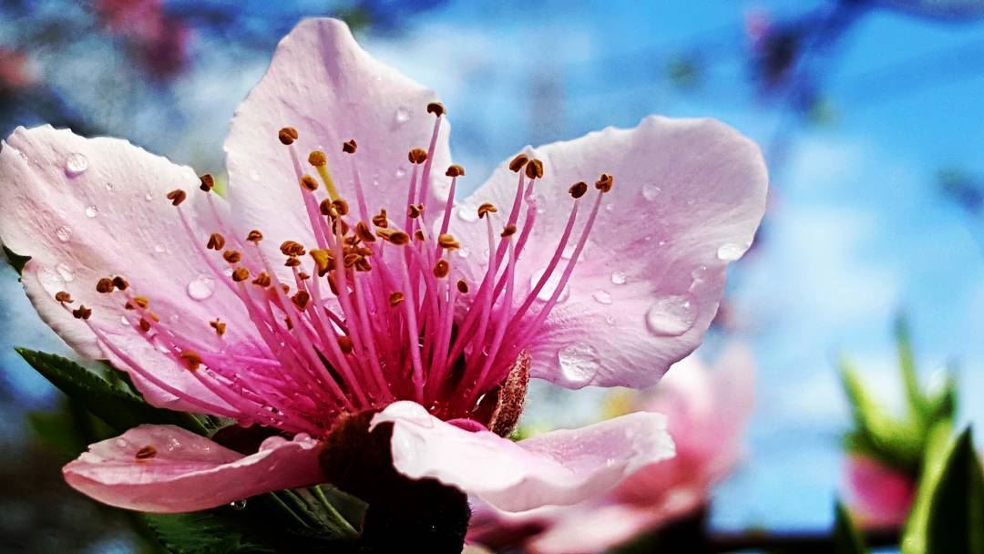  कर्म  उद्धरण – Karma Quote